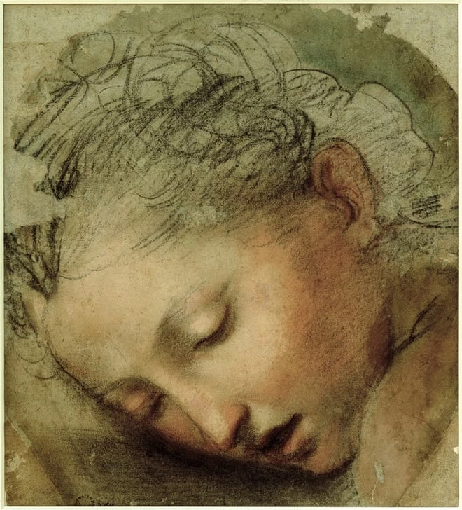 Testa di donna - Besançon, Musée Des Beaux, Arts Et D’archéologie, Barocci Federico
